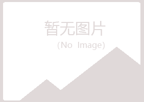 白银平川匆匆采矿有限公司